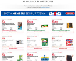 Costco Canada Flyer