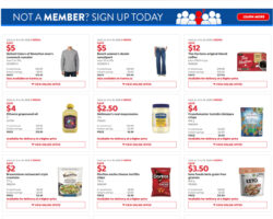 Costco Canada Flyer