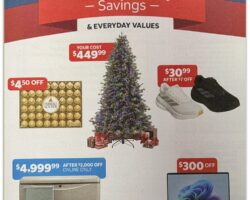 Costco Coupon Offers
